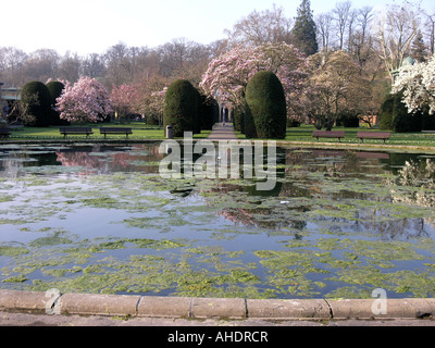 Magnolie blüht in der Wilhelma Stuttgart Baden-Württemberg Deutschland Stockfoto