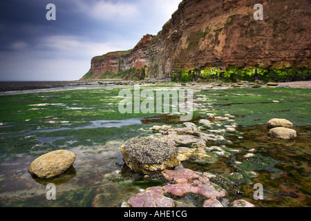 Huntcliff und Saltburn Strand bei Ebbe, Saltburn-by-the-Sea. North Yorkshire, Großbritannien Stockfoto