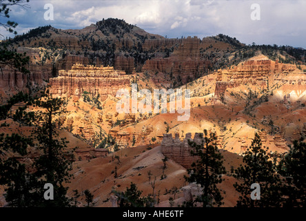 Märchenland Canyon, Bryce Canyon National Park Utah USA. Stockfoto