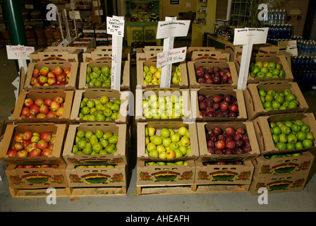 Boxen von Jonagold Golden Delicious Granny Smith und Red Delicious Äpfel und Birnen Bartlett zum Verkauf an einem Straßenrand Obst stehen Stockfoto