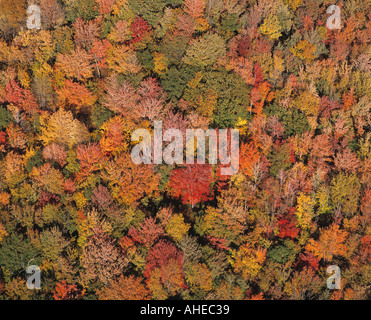 Herbst-Kanada in der Provinz Quebec in der Laurentians Stockfoto