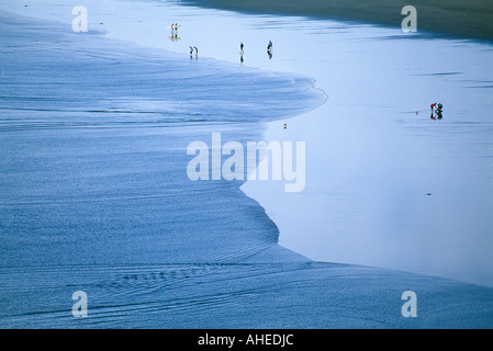 Figuren am Strand an der Murawai Nordinsel Neuseeland Stockfoto