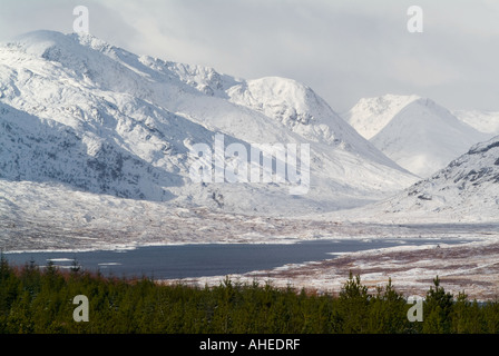Einen atemberaubenden Blick über eine Kiefer-Plantage, einem schottischen Loch, umgeben von schneebedeckten Bergen im Winter helle Sonnenlicht Stockfoto