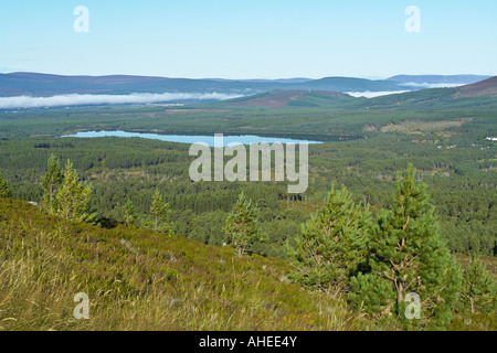 Weiten Blick über den Aviemore Bereich aus der Ski-Straße Cairngorm Mountain Resort an einem noch Herbstmorgen Stockfoto