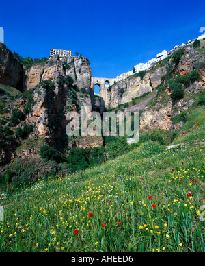 Spanien, Andalusien, Rhonda, Puente Nuevo über die El Tajo-Schlucht Stockfoto