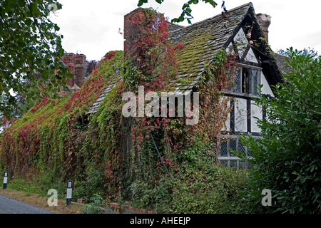 Attraktive Immobilie inmitten der Stadt Eardisland, Herefordshire. Stockfoto