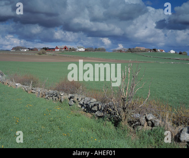 Typische Landschaft Jæren, Rogaland, Norwegen. Stockfoto