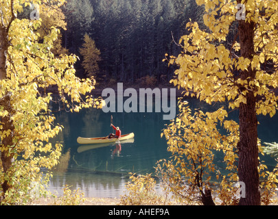 Kanu-Fischer in gelben Kanu Scout Lake in Oregon, umrahmt von farbigen gelb Espe Blätter im Herbst Stockfoto