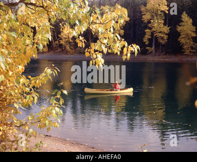 Kanu-Fischer in gelben Kanu Scout Lake in Oregon, umrahmt von farbigen gelb Espe Blätter im Herbst Stockfoto