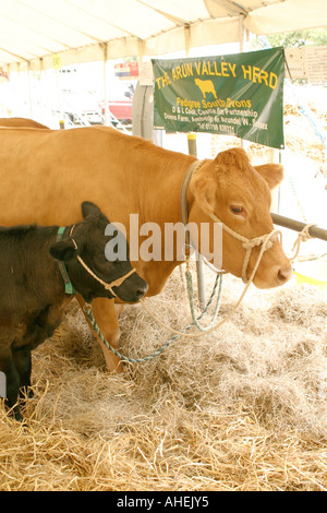 Die Cranleigh Show August 2006 Stockfoto