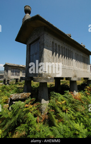 Alte Granitspeicher, die über dem Boden Espigueiros in Lindoso Dorf im Nationalpark Parque Nacional da Peneda Geres im Norden Portugals gebaut wurden Stockfoto