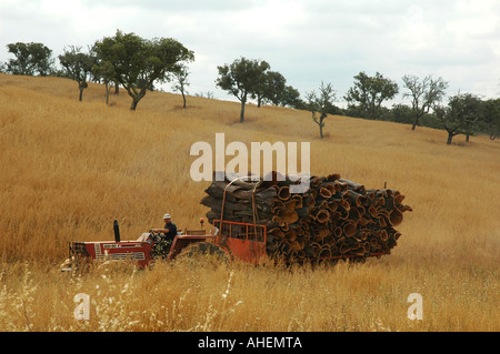 Ein Traktor mit Geernteten Korkeichen in Sao Bras de Alportel Gemeinde im Bezirk von Faro an der Algarve Region Portugal geladen Stockfoto