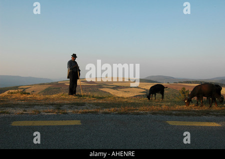 Ein Hirte beherdet seine Ziegen in Serra da Estrela die Höchste Gebirgskette im kontinentalen Portugal Stockfoto