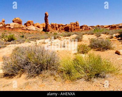 Massiven roten Felsformationen und Chaparral in der Sommerzeit im Arches National Monument im Südosten von Utah Stockfoto