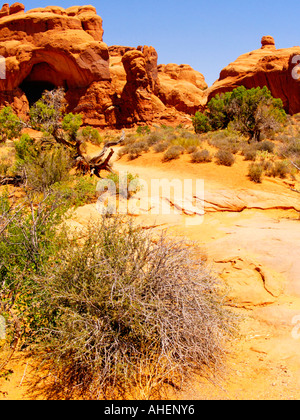 Massiven roten Felsformationen und Chaparral in der Sommerzeit im Arches National Monument im Südosten von Utah Stockfoto