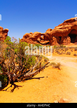 Massiven roten Felsformationen und Chaparral in der Sommerzeit im Arches National Monument im Südosten von Utah Stockfoto