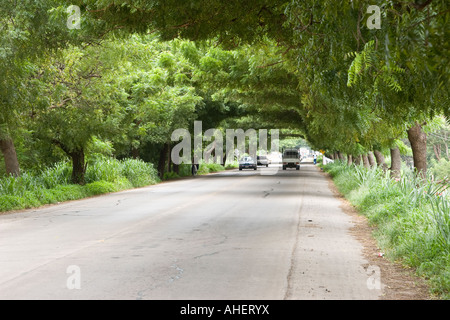 Alte Ansicht von der Straße aus Chitré nach Las Tablas. Azuero, Republik Panama, Mittelamerika Stockfoto