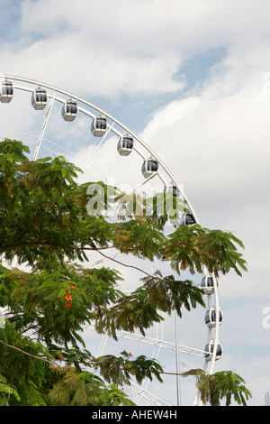 Das Auge auf Malaysia Rad in Kuala Lumpur Stockfoto