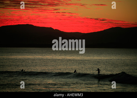 Surfen der Pause am Nachmittag am Wategos Beach bei Sonnenuntergang Byron Bay Australien Stockfoto