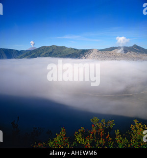 Mount Bromo und Mount Semeru durchbrechenden mit dicken Schicht der Cloud im Vordergrund Bromo Tengger Ost-Java Indonesien Stockfoto