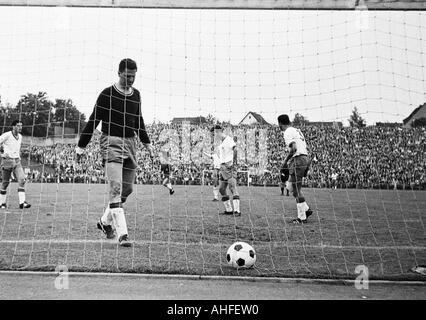 Fußball, Bundesliga, 1965/1966, Borussia Moenchengladbach gegen Tasmania 1900 Berlin 5:0, Boekelberg Stadion, Szene des Spiels, Ziel, Gladbach, Keeper Heinz Rohloff (Berlin) fängt den Ball aus dem Netz Stockfoto