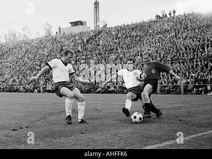 Fußball, Bundesliga, 1965/1966, Borussia Moenchengladbach gegen FC Bayern München 1:2, Boekelberg Stadion, Szene des Spiels, v.l.n.r.: Peter Kupferschmidt (München), Franz Beckenbauer (München), Bernd Rupp (MG) Stockfoto