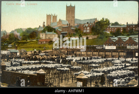 Lincoln Viehmarkt Stockfoto