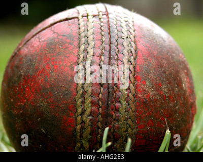 Cricketball, gut genutzt Stockfoto