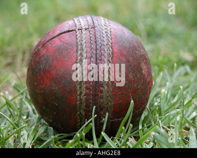 Cricketball, gut genutzt Stockfoto