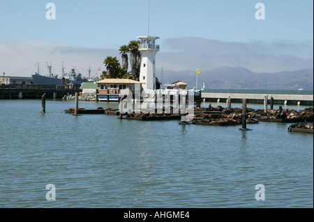 Forbes Island Fishermans wharf San Francisco Kalifornien, usa Stockfoto