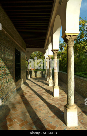 Spalten von Cenador De La Reina, Reales Alcazares, Sevilla, Spanien Stockfoto