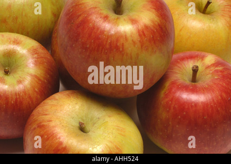Cox Äpfel, Nahaufnahme Stockfoto