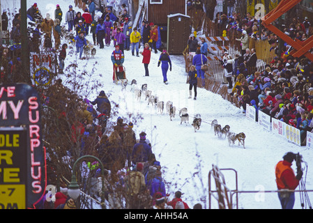 Sled Dog racing auf dem Fell Rendezvous Festival, Anchorage, Alaska, USA. Stockfoto