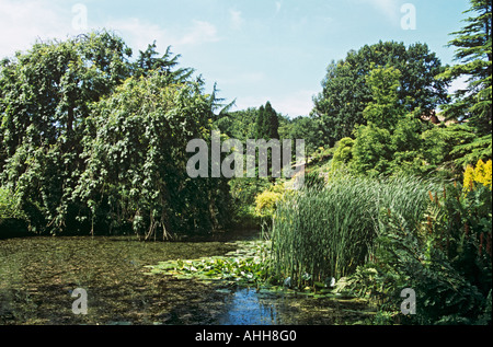 NESS Gärten NESTON CHESHIRE UK Juli das Wasser Garten des Botanischen Gartens Stockfoto