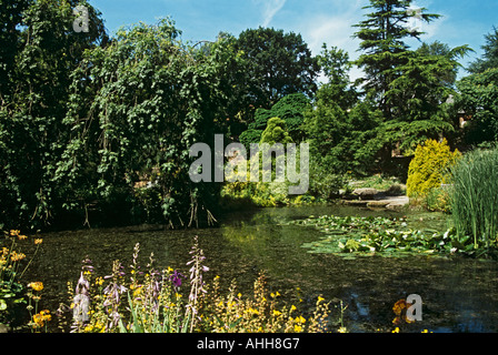 NESS Gärten NESTON CHESHIRE UK Juli das Wasser Garten des Botanischen Gartens Stockfoto