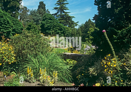 NESS Gärten NESTON CHESHIRE UK Juli das Wasser Garten des Botanischen Gartens Stockfoto