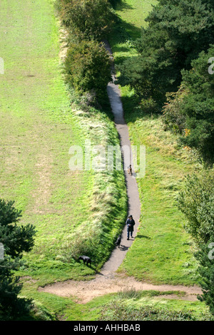 Blick von oben auf Faringdon Folly eine Dame, die ihre Hunde in den Feldern unten wandern Stockfoto