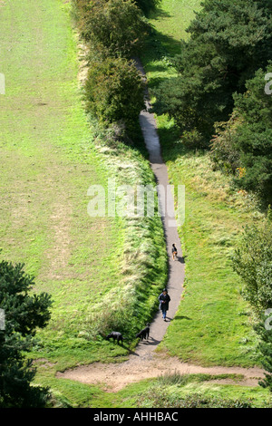 Blick von oben auf Faringdon Folly eine Dame, die ihre Hunde in den Feldern unten wandern Stockfoto