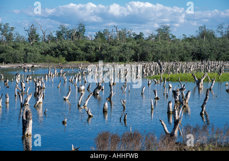 Mexiko Yucatan Celestun Stockfoto