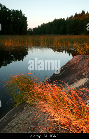 Frühen Sommermorgen in den See Vansjø in Østfold, Norwegen. Vansjø ist ein Teil des Wassers, das System namens Morsavassdraget. Stockfoto