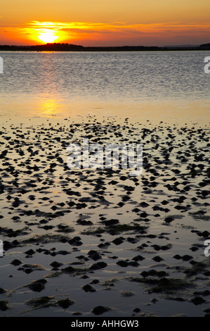 ENGLAND Northumberland Budle Bay. Sonnenuntergang über Budle Bay in der Nähe von Bamburgh und Teil der Northumberland-Erbe-Küste. Stockfoto