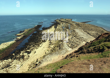 Filey Brigg, North Yorkshire Stockfoto