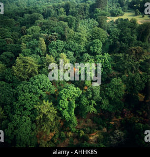 Geringen Aufwand Luftbild von Bäumen Stockfoto