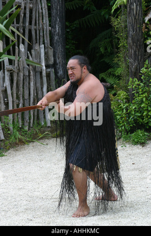 Eine Durchführung in Rotorua Neuseeland Maori Stockfoto