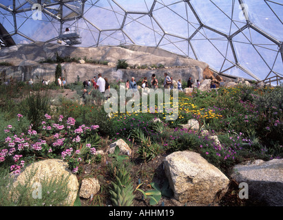 St Austell The Eden Project Teil des Innenraums des warmen gemäßigten biome Stockfoto