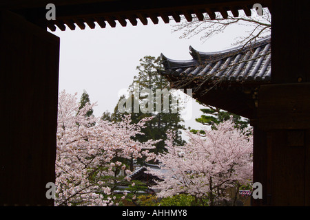 Cherry Blossom Bäume durch eine offene Tür, Tōdai-Ji Tempel Nara Japan Stockfoto