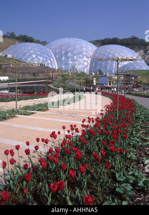 St Austell The Eden Project feuchten Tropen Biom Kuppeln Stockfoto