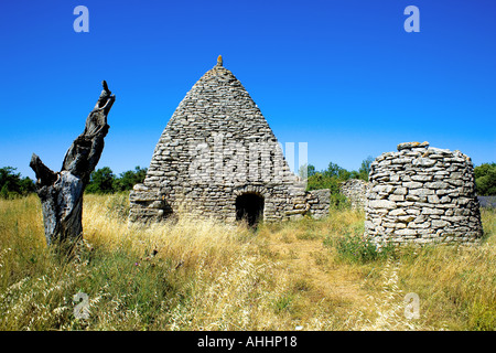 TOTEN BAUMSTAMM UND BORIE STEIN SCHUPPEN UND GUT PROVENCE FRANKREICH Stockfoto