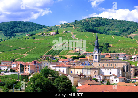 "Le Perréon" Dorf und Weinberge, Beaujolais Weinland, Rhône Tal, Frankreich, Europa Stockfoto