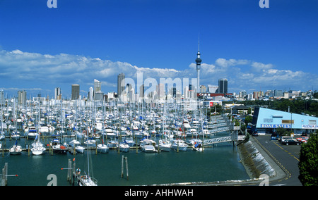 Yachten im Waitemata Harbour (Westhaven Harbour) mit Skytower und Auckland skyline Stockfoto